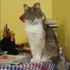 Отзыв от Ида Архипова